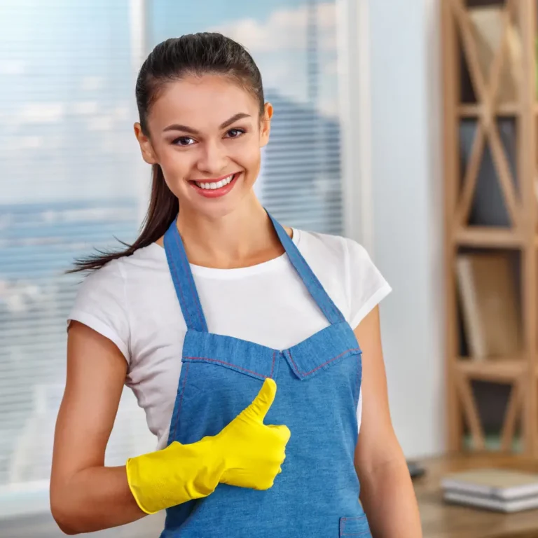 best domestic cleaning service